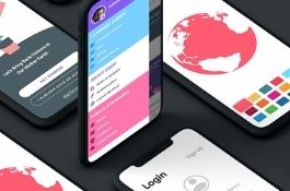 UNITED NATIONS DEVELOPMENT PROGRAMME(UNDP)